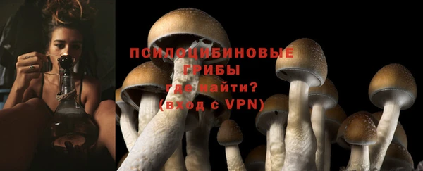 соль курить ск Армянск