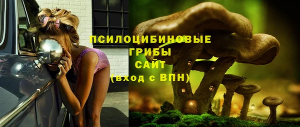 соль курить ск Армянск